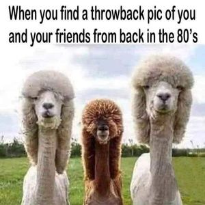 Meet your Posher, Leah